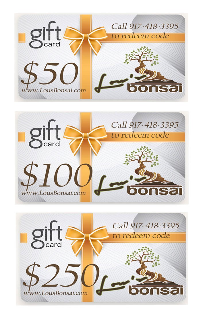 **GIFT CERTIFICATES**