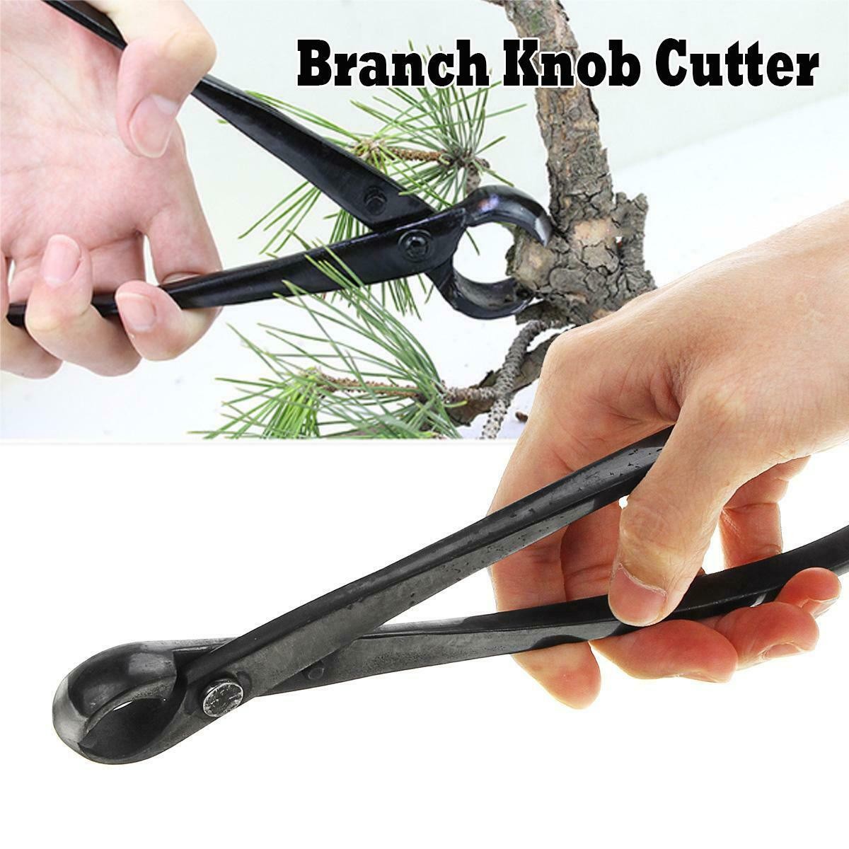 Beginner bonsai concave cutter.