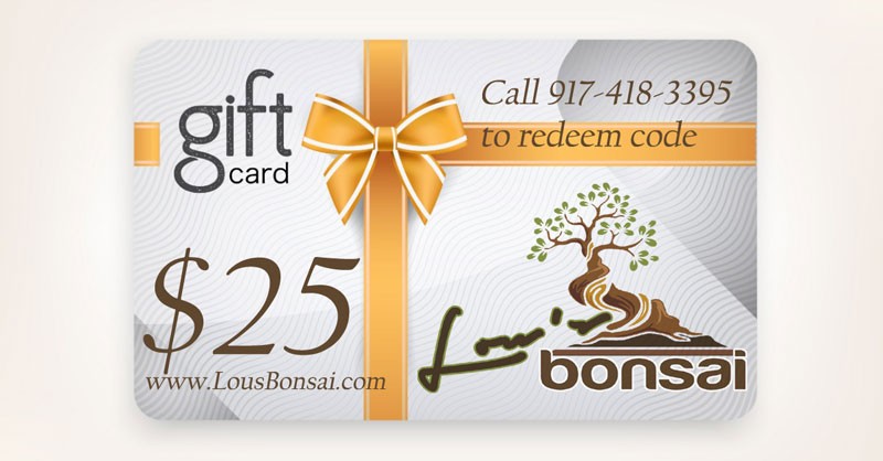 $25 GIFT CERTIFICATE