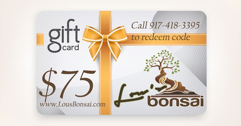 $75 GIFT CERTIFICATE