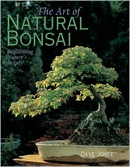 The Art of Natural Bonsai Trees