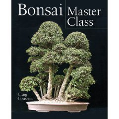 Bonsai Master Class (Hardcover)
