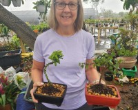 Forest Planting Lesson at Venice Nursery only - Saturdays