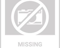 Bougainvillea specimen bonsai tree  LRB