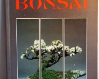 Creative Book of Bonsai