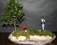 AMAZING GOLF BONSAI TREE SETTING (call to order)
