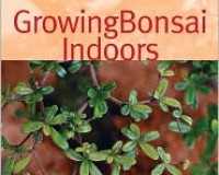Growing Bonsai Indoors