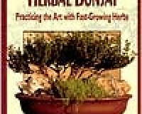 Herbal Bonsai
