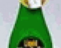 Miracle Grow Liquid Fertilizer By Lousbonsai